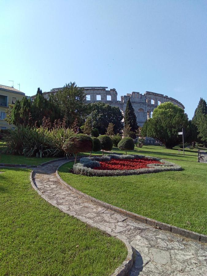 Soba Arena Penzion *